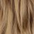 10H24# Golden Brown / Light Blonde