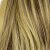 86H10# Blonde / Medium Brown