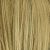 Ash Blonde mix Blonde Evenly