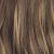 Brown Highlighted Light Blonde