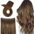 Medium Brown to Caramel Blonde #4/27p4