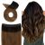 Ombre Chestnut Brown #(T1b/6)F6