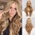 1-Mixed Honey Blonde Wig
