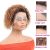 13*1 Pixie Cut Curly Lace Wig 1b/27