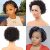 13*1 Pixie Cut Curly Lace Wig 1b