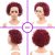 13*1 Pixie Cut Curly Lace Wig 99J
