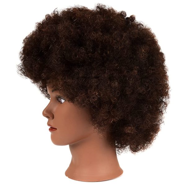 Afro Mannequin Head 100% Human Hair For Practice Styling Braiding Hair –  unionbeauty