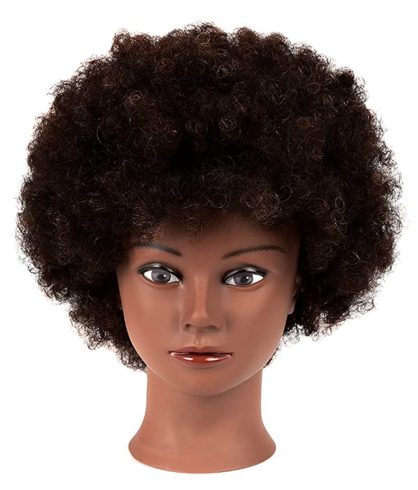 Afro Mannequin Head 100% Human Hair For Practice Styling Braiding Hair –  unionbeauty