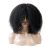 Afro Wig None Lace
