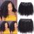 Arfo Kinky Curly Clip in Hair Extensions