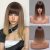 Brown Blonde Gradient Wigs
