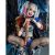 Harley Quinn