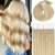 Highlight Dark Ash Blonde Mixed Light Platinum Blond #P18/60A