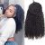 Kinky Curly Drawstring Ponytail