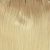 Light Golden Brown to Platinum Blonde R#12/60