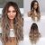 Ombre Blonde Mix Brown