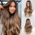 Ombre Brown Mixed Blonde Color
