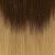 Ombre Darker Brown to Light Golden Brown T#3-12