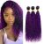 Purple Curly Bundles