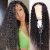 curly human wig 4x4 closure